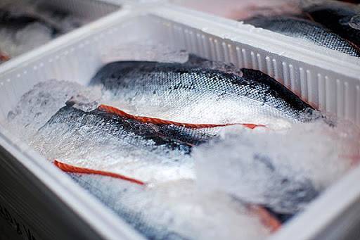 Длительное хранение рыбы и способы ее заморозки