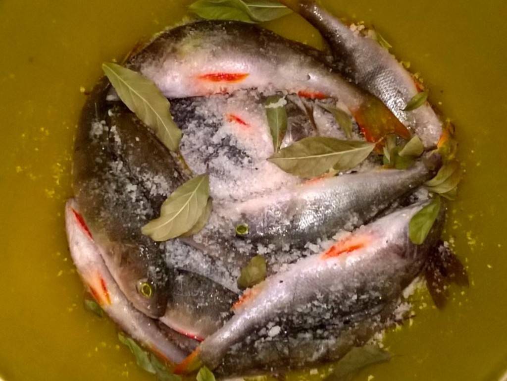 сухой посол речной рыбы в домашних условиях рецепт приготовления