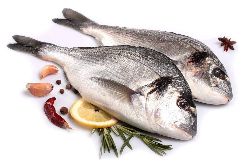 Чем хороша рыба дорадо: полезные свойства - Frost-Fish