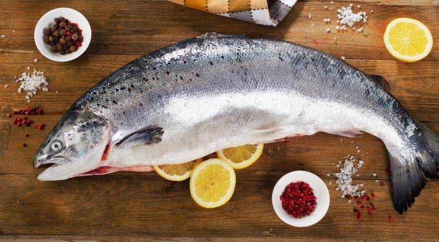 Чем полезен лосось для организма: польза и вред