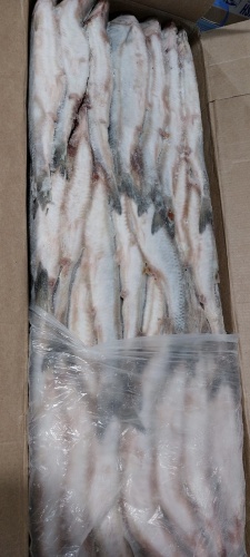 Сельдь свежемороженая Олюторская (блочная) ~ 450 гр фото 2