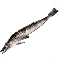 Ледяная рыба свежемороженая ~ 200 гр