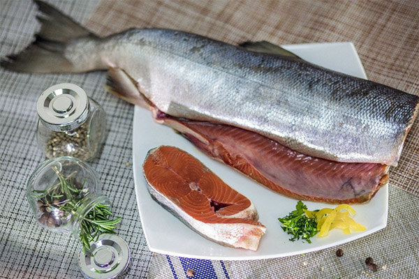Готовим красную рыбу в тандыре – рецепты и советы по приготовлению